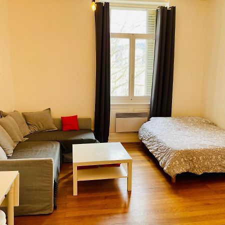 Studio Cosy De 28M2 Au Centre De Strasbourg Apartment Екстериор снимка
